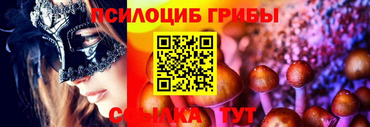 Заводоуковск  Галлюциногенные грибы ЛСД  Вход с VPN  Галлюциногенные грибы Magic Shrooms 